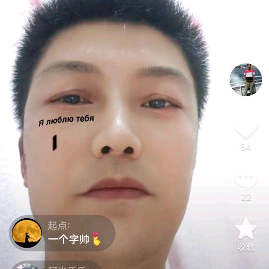 鲲鹏展翅飞