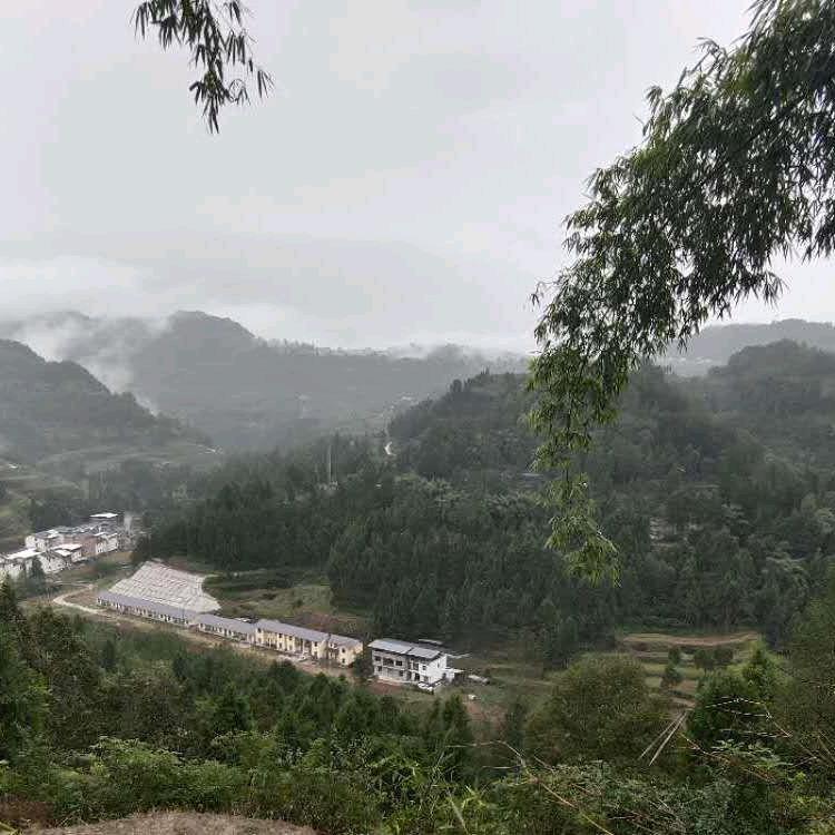 曾阿华