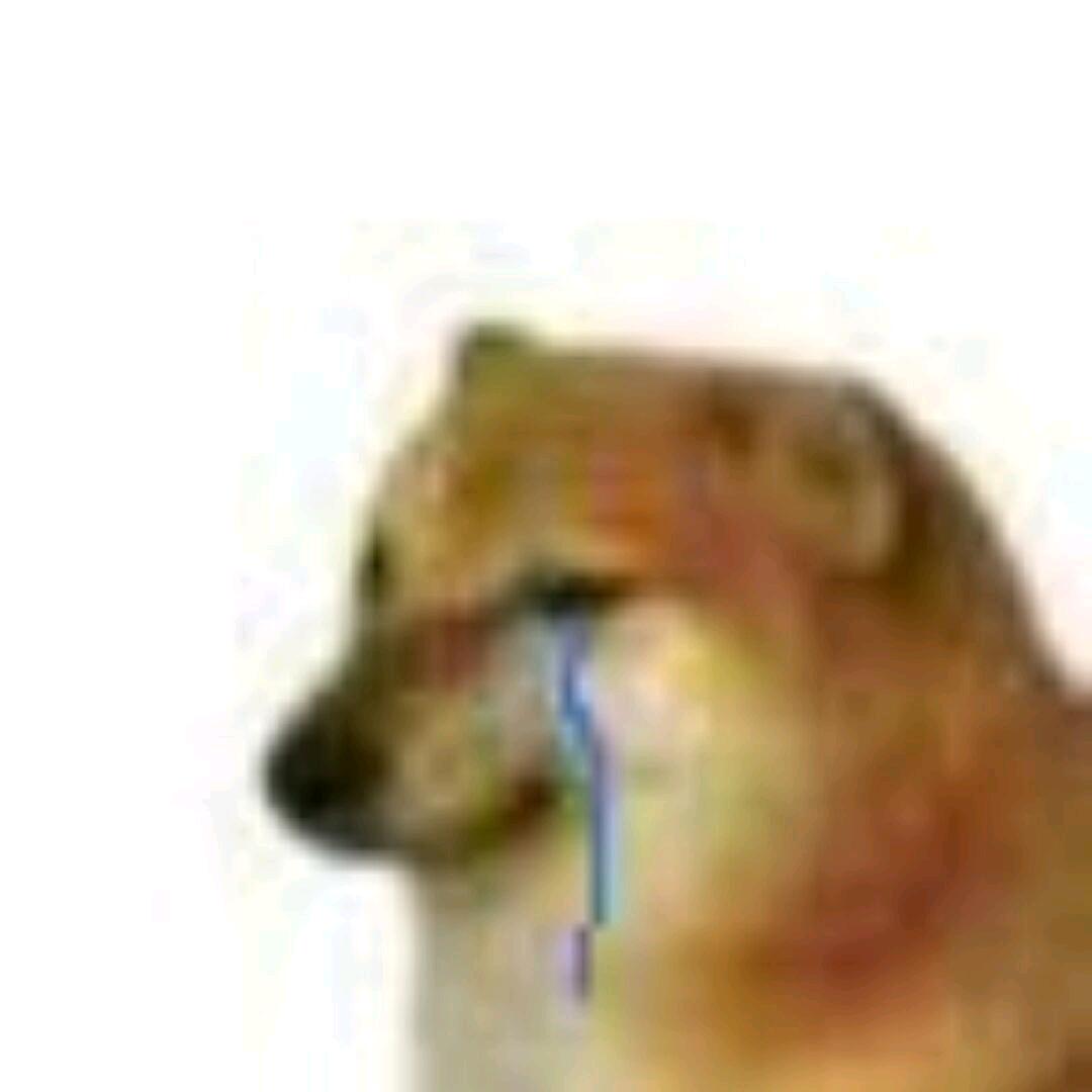 yesの耶
