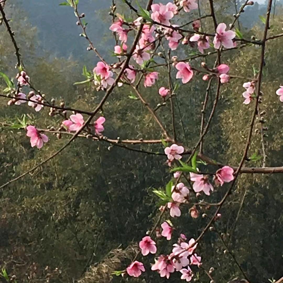 明天会更好:秦