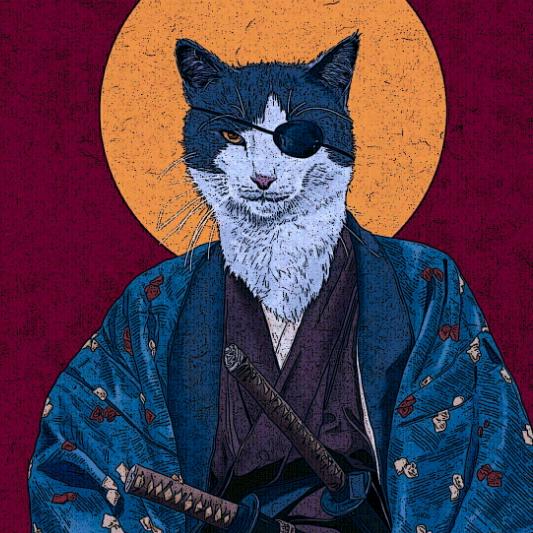 陈田木耳
