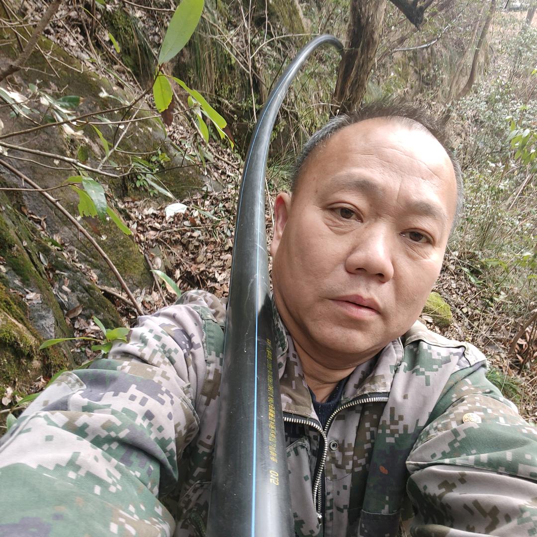 三宝爸
