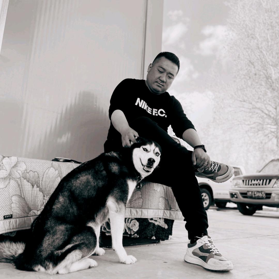 海龙说车二手车汽车租赁