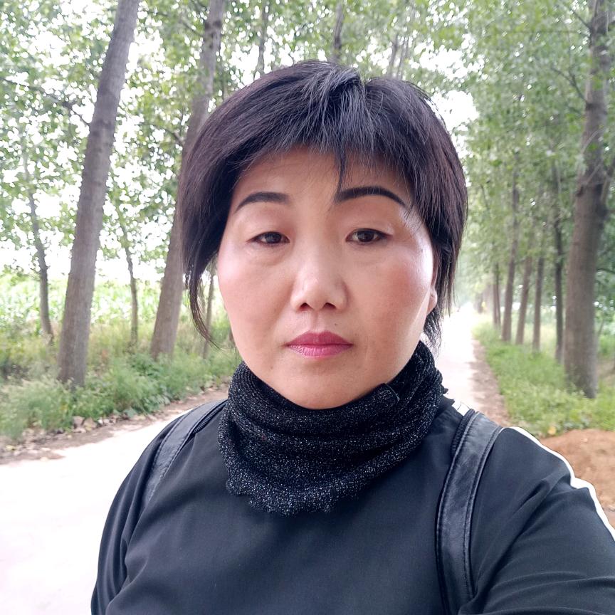 迎客松（张金凤）