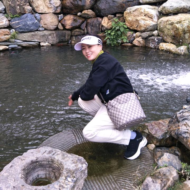 紫藤