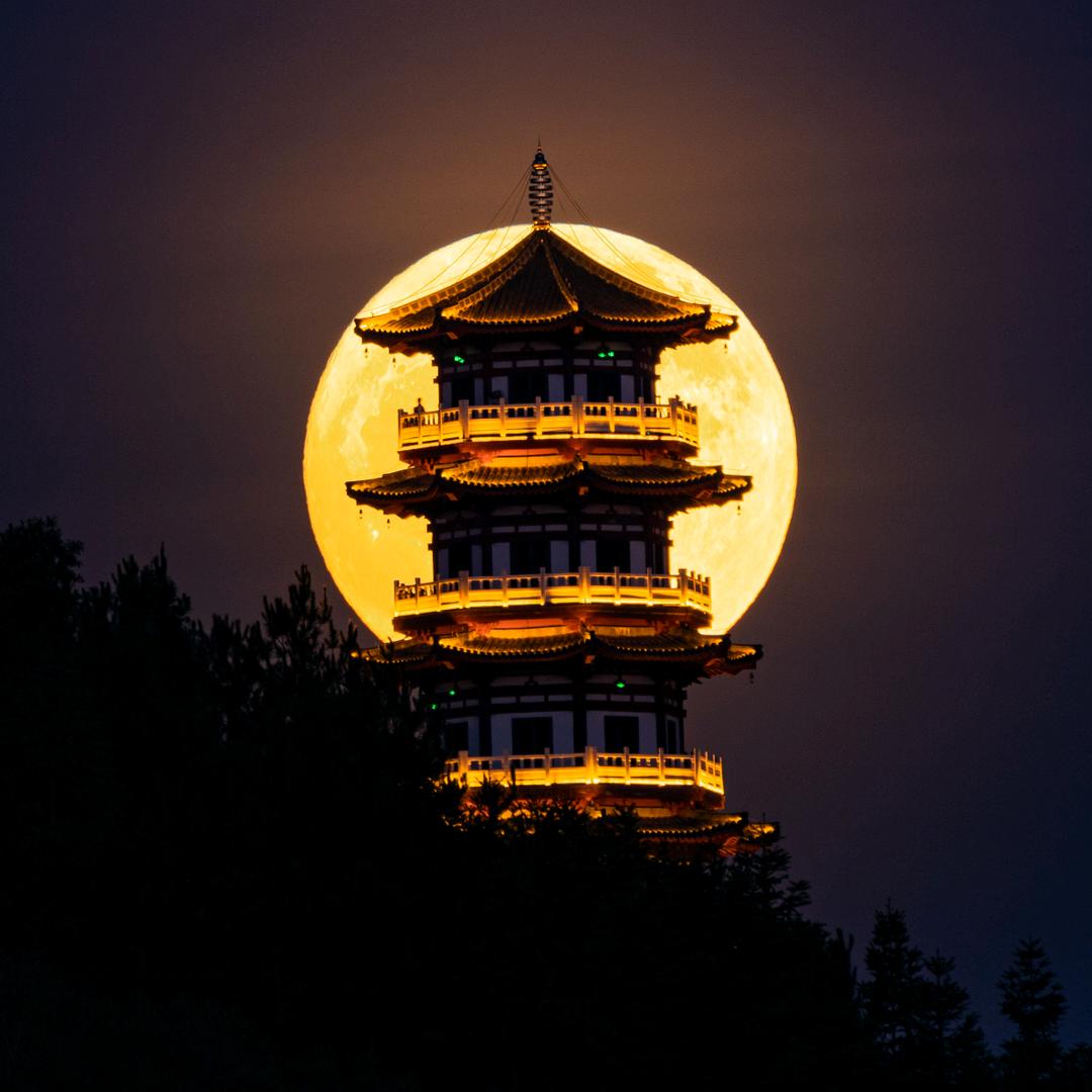 长沙炳哥