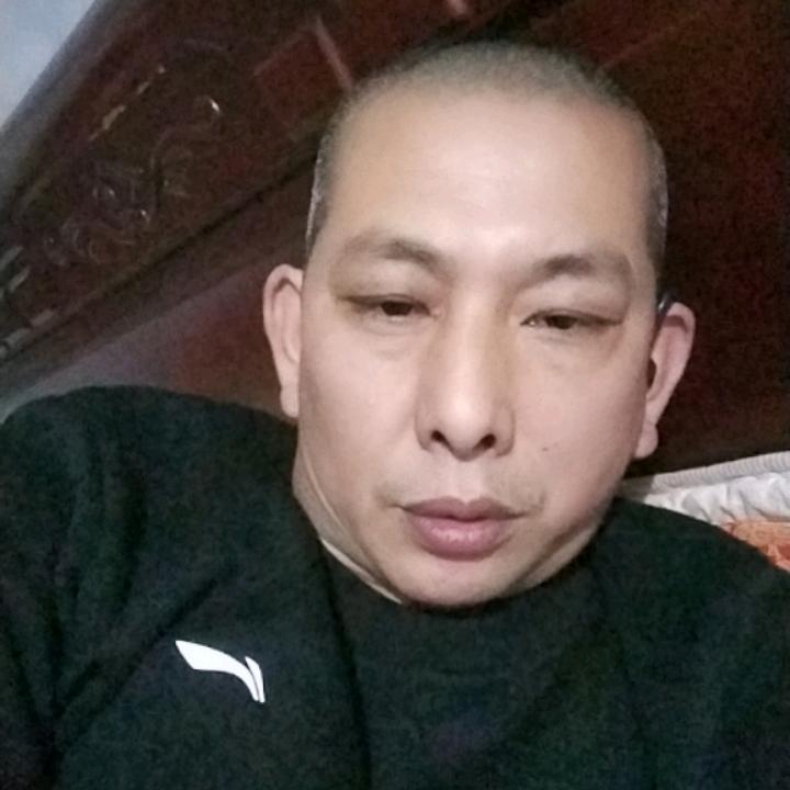为你停刘