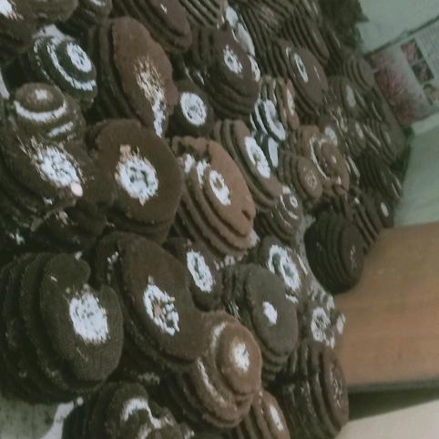 蜂与猿泉蜂业   收购批发蜂蛹