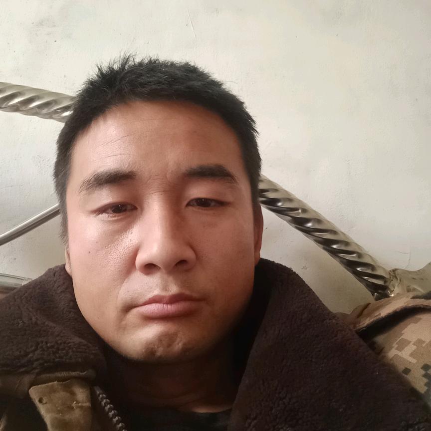 扶摇直上