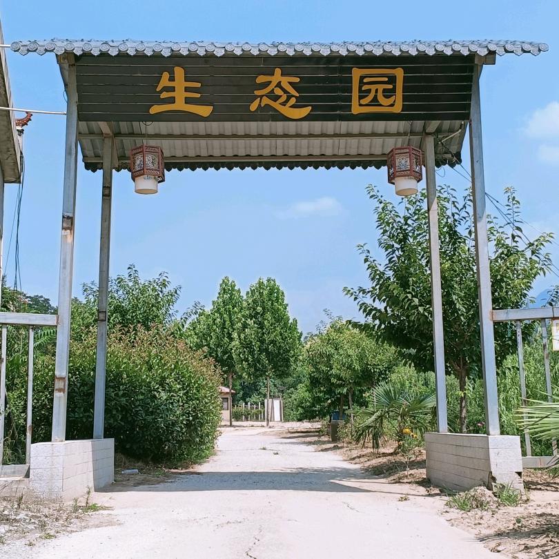 灵宝市秦家沟生态园