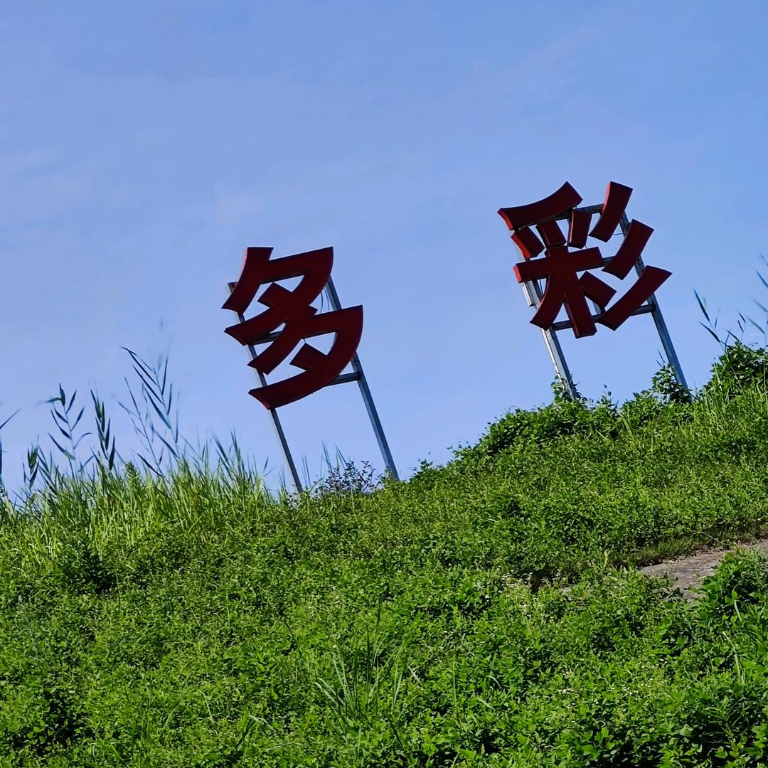 多彩