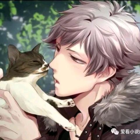 猫南北🐱