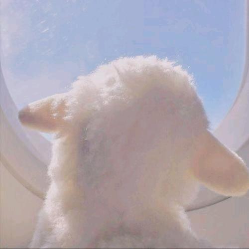 小衣同学(๑><๑）