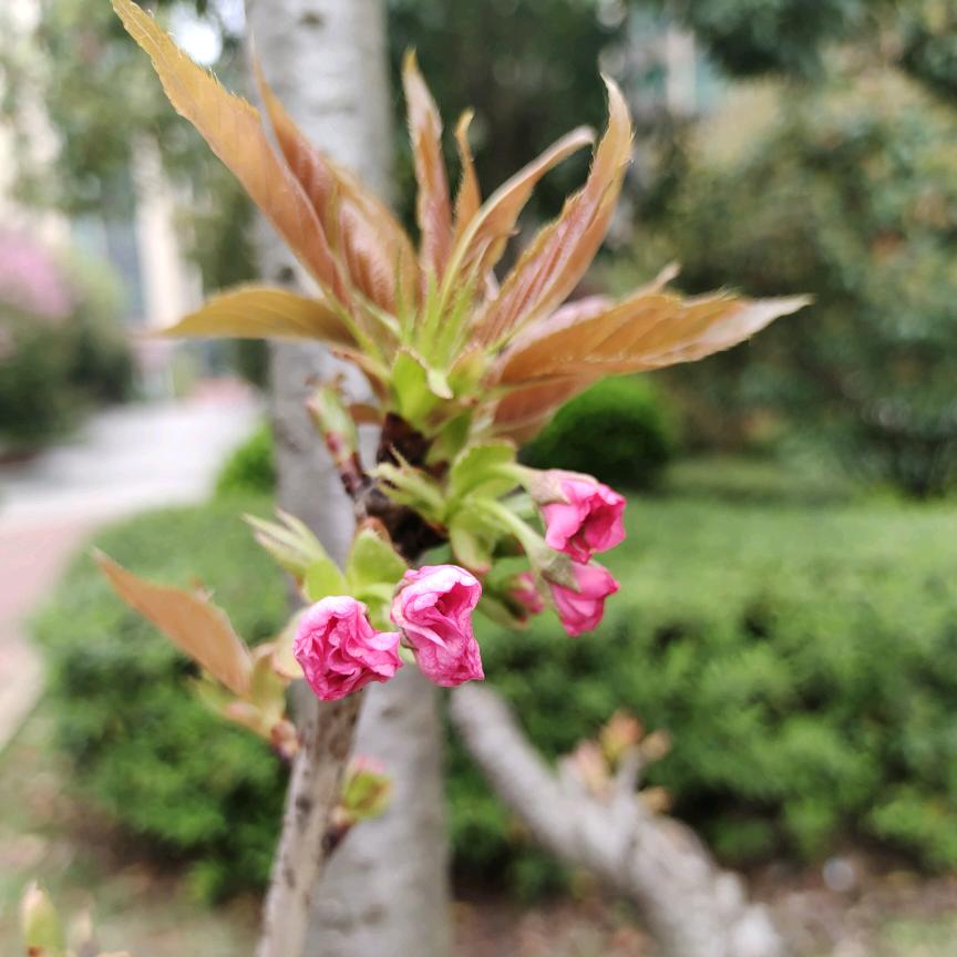 💫真想一觉睡到小时候💫（手机摄影）