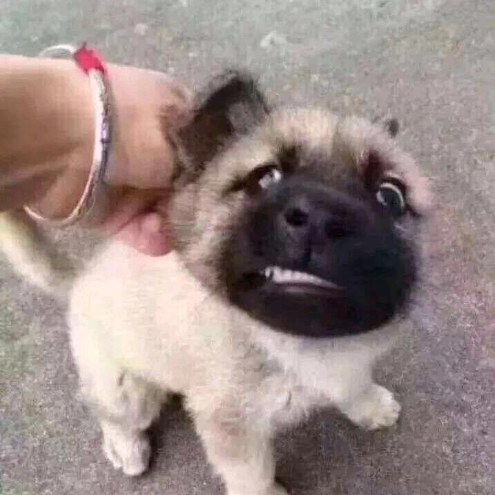 十二宫