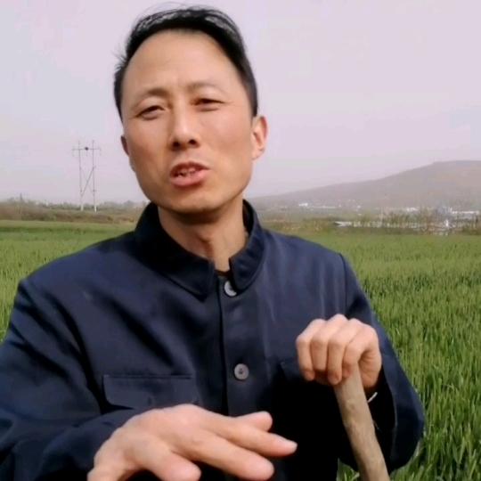 虎子超车