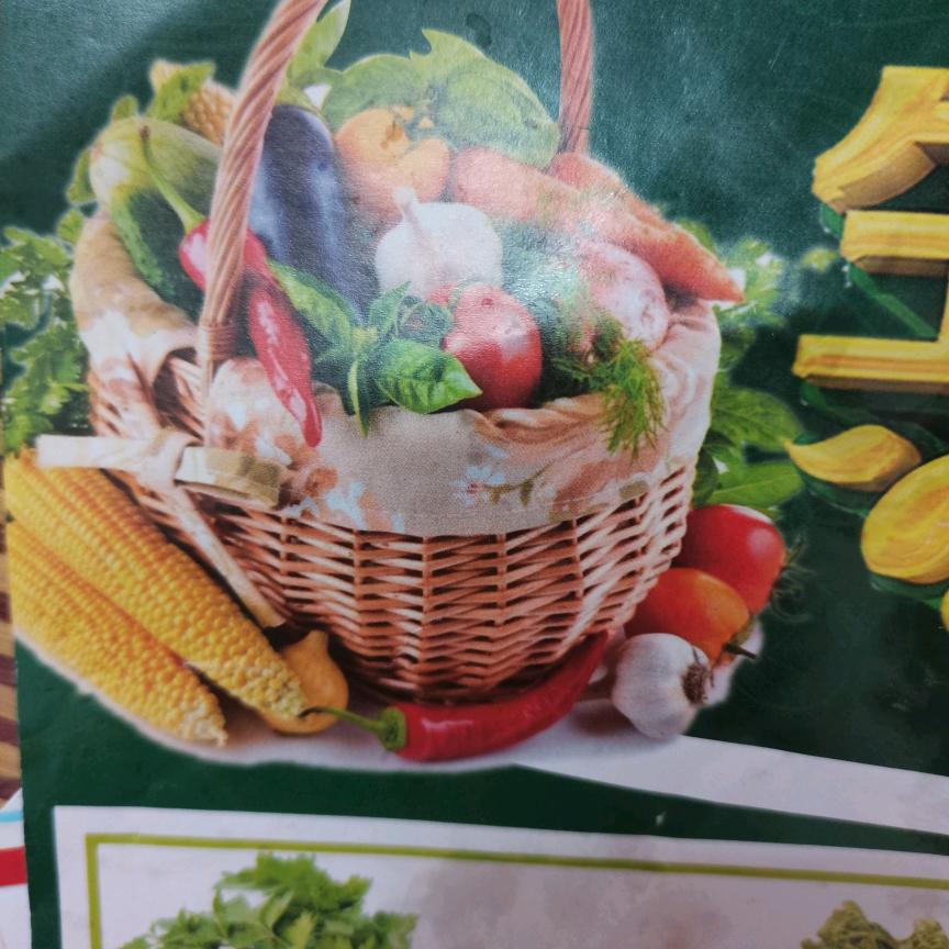 小丽丽呀