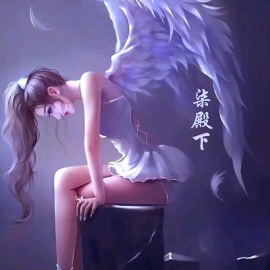7柒殿下