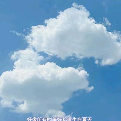 🦊云淡风轻