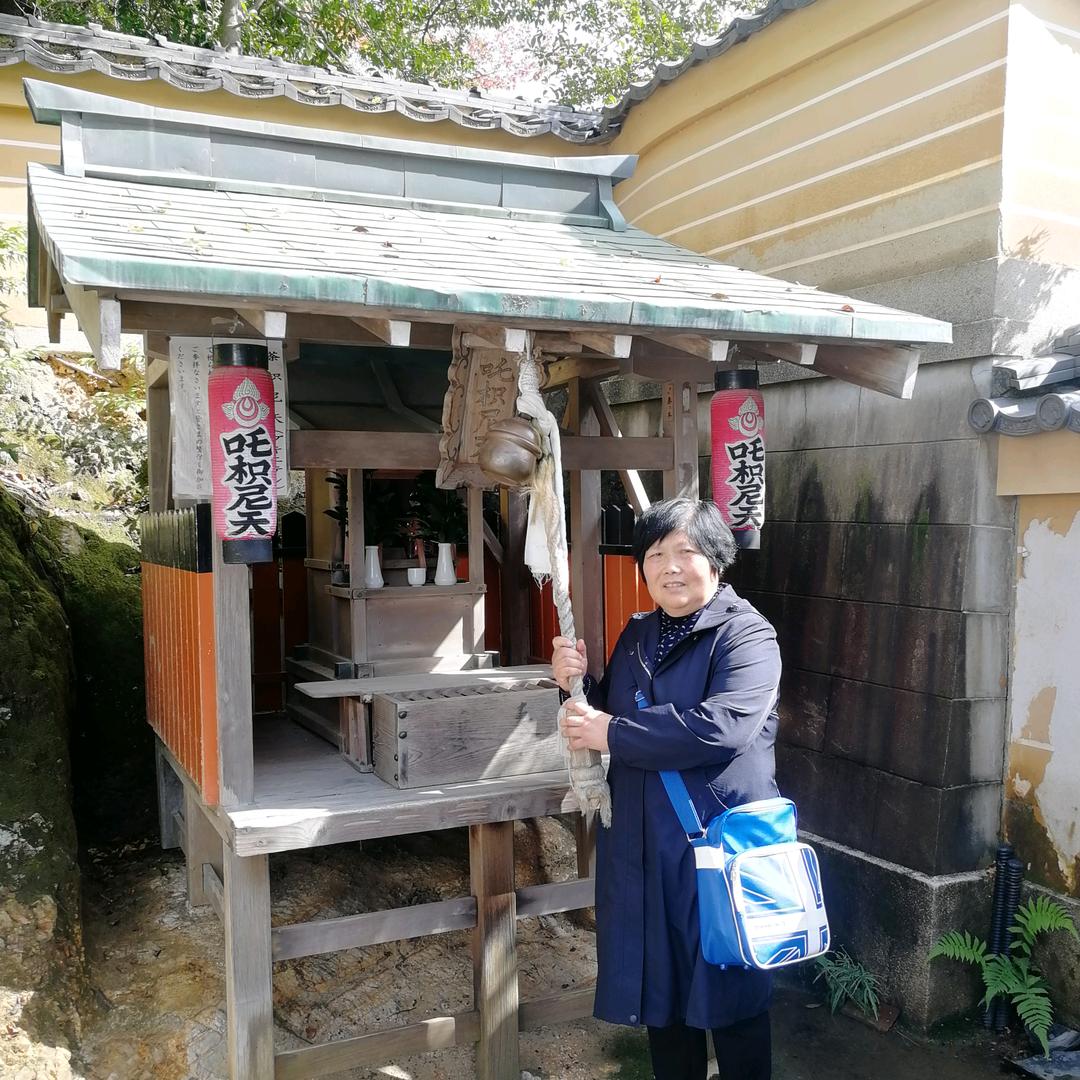 桂五杜文华