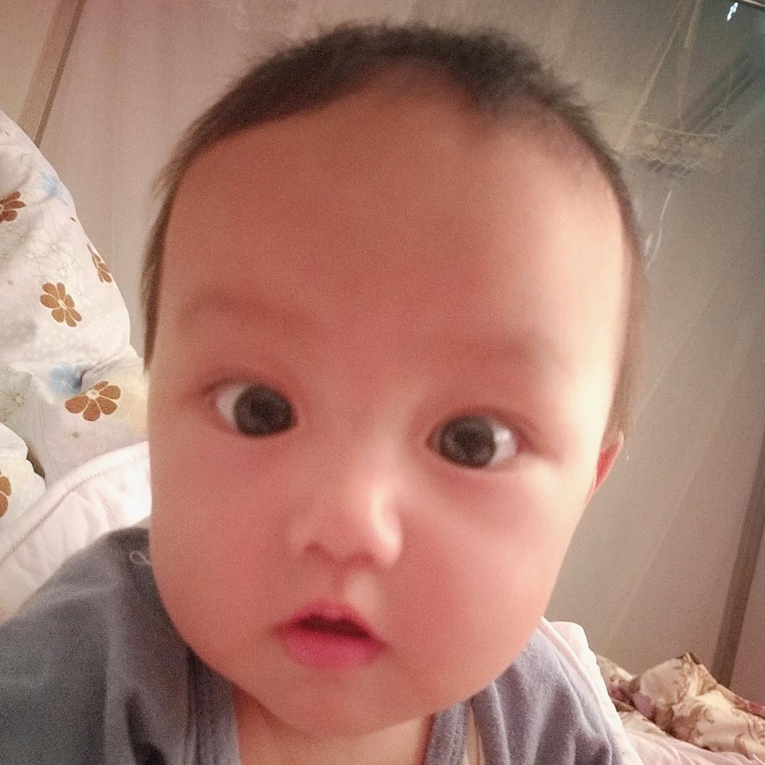 小小鱼儿🐬