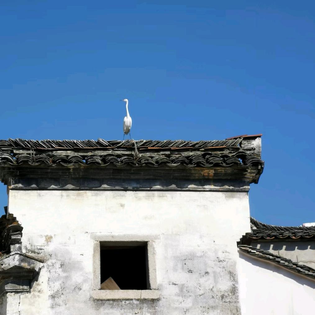 墨砺宣纸工艺品