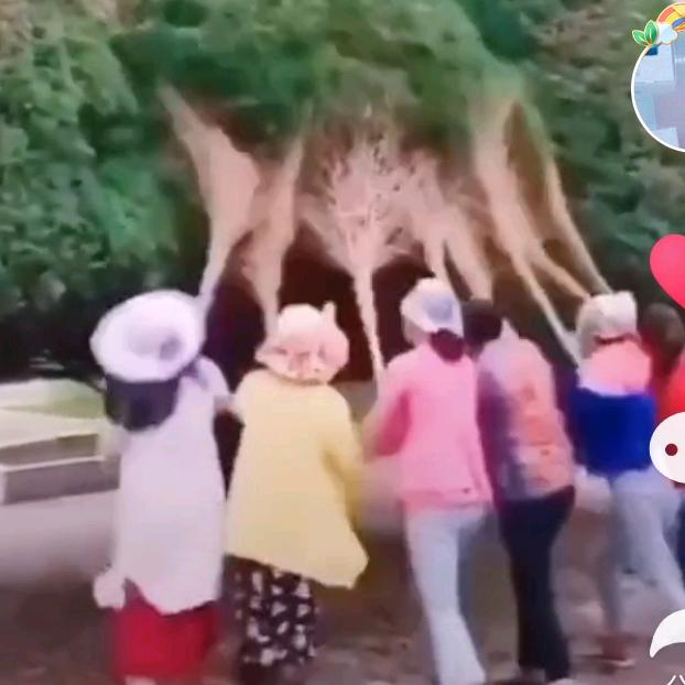 美丽依然