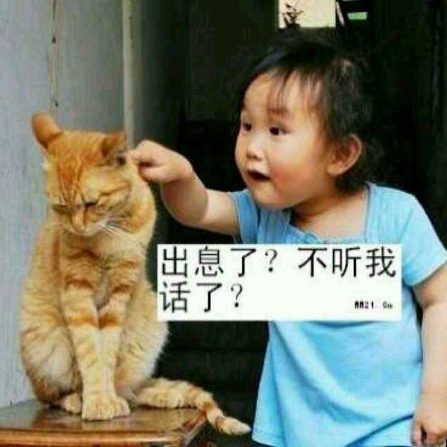 犭