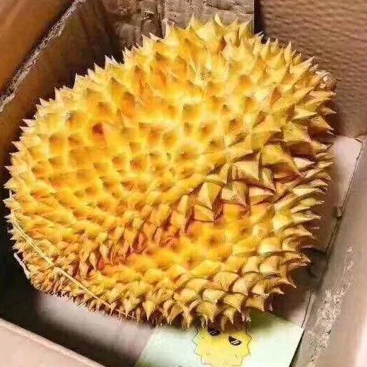 缘