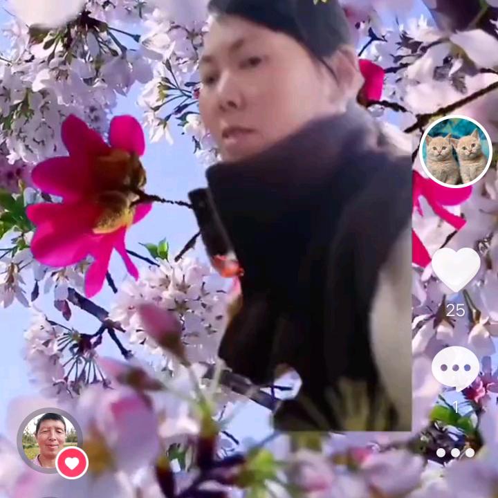 江苏仲姐