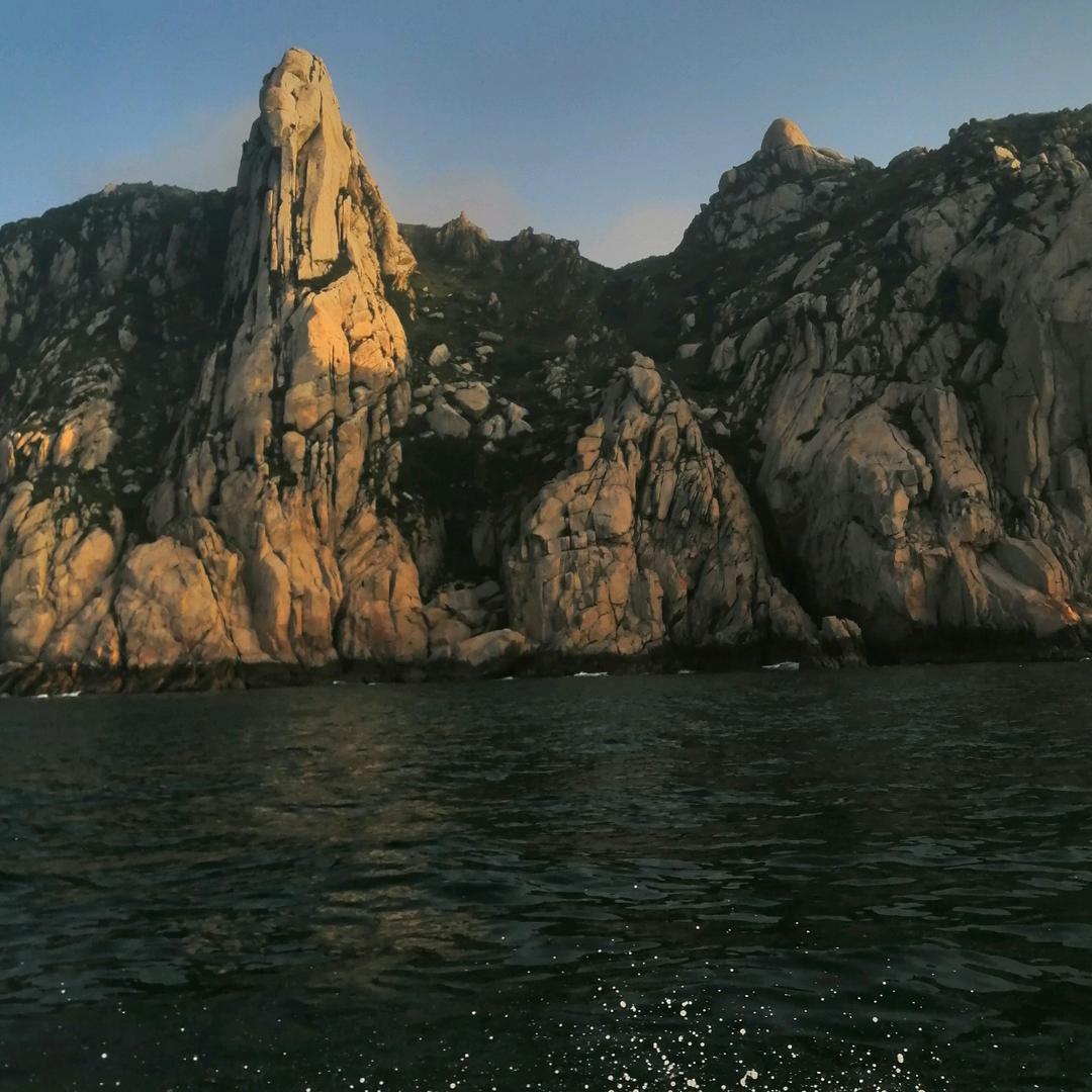 卫忠油漆