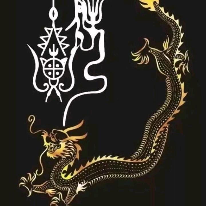飞龙在天