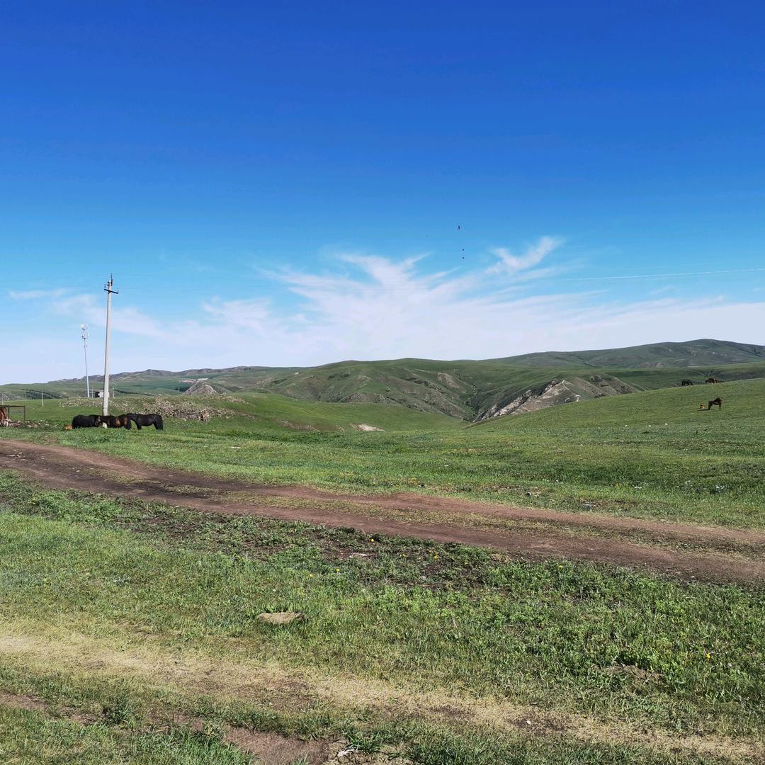 呼和老妈酱猪蹄(河山大观店)专用号