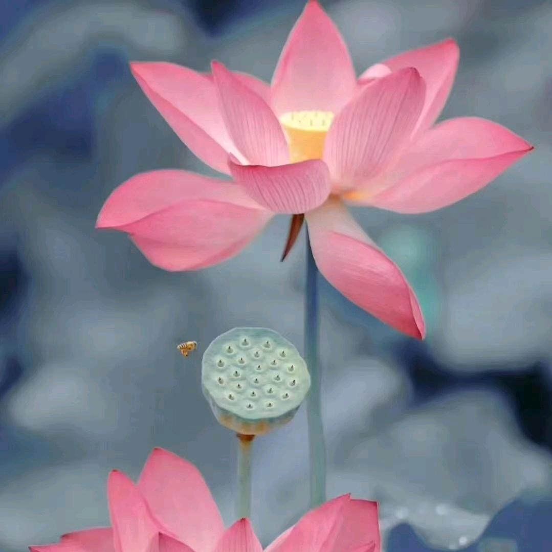 暖心向阳～、～