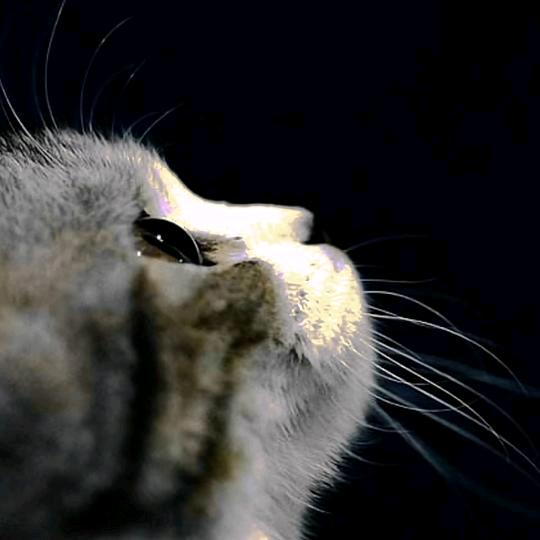 航埠A8乔式台球俱乐部