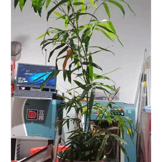 《漆友屋》立邦漆专卖