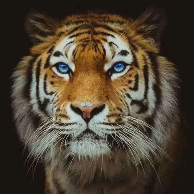 顺其自然