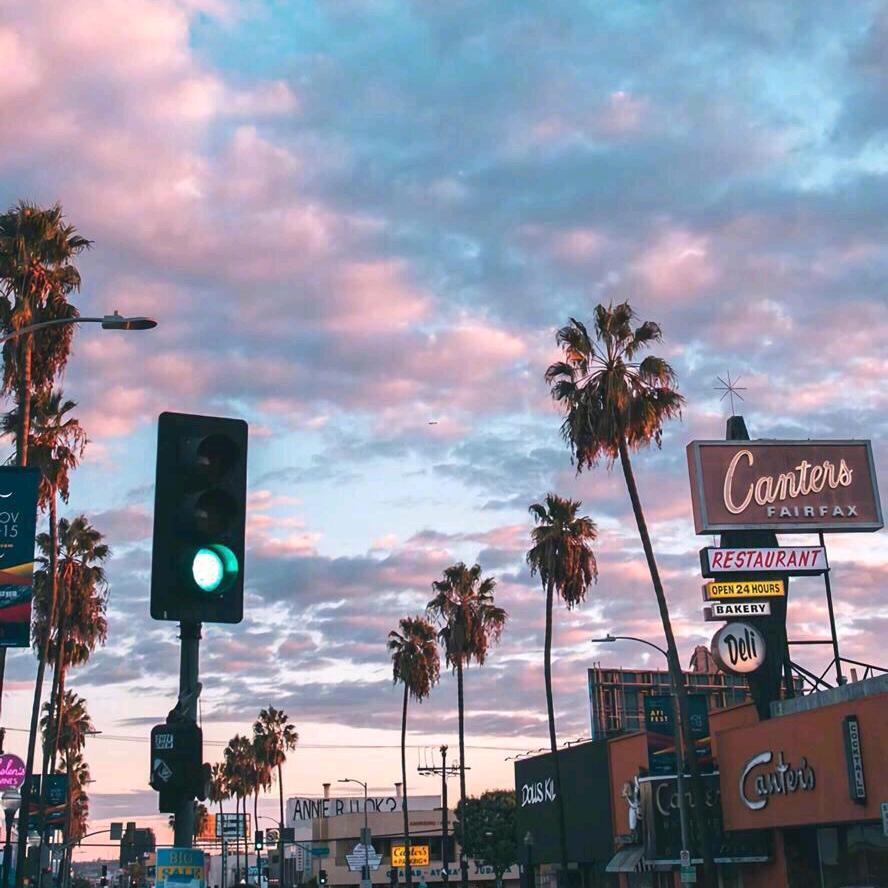 小马先生🇨🇳