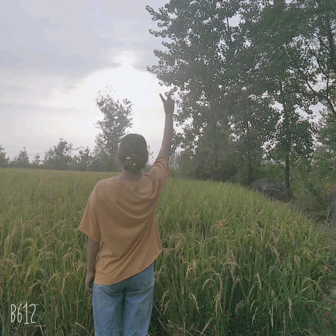 心静人自静