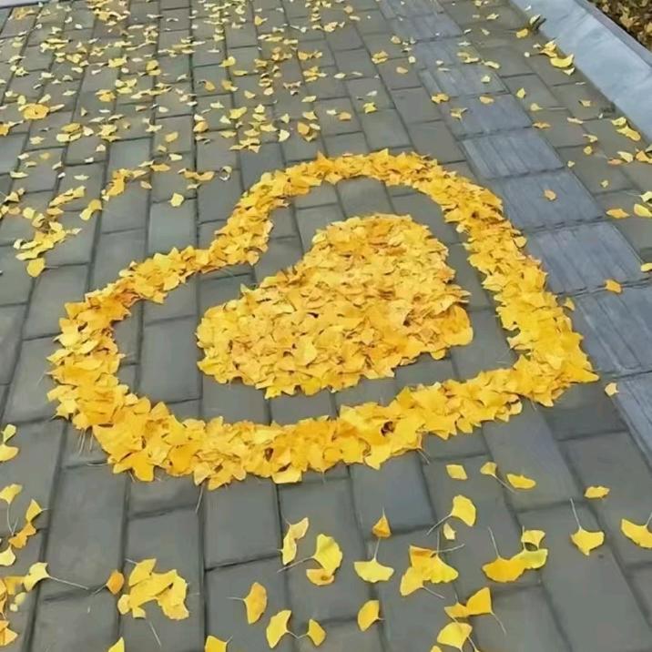 用户776838368487