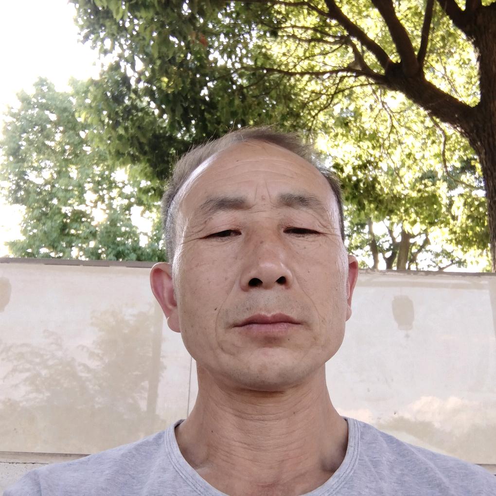 老高