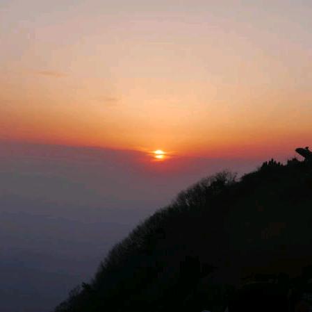 爱吃土豆🥔🥔