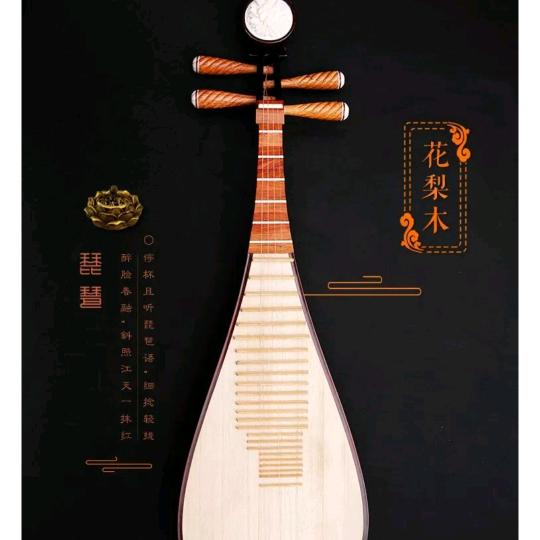 琵琶手晓南