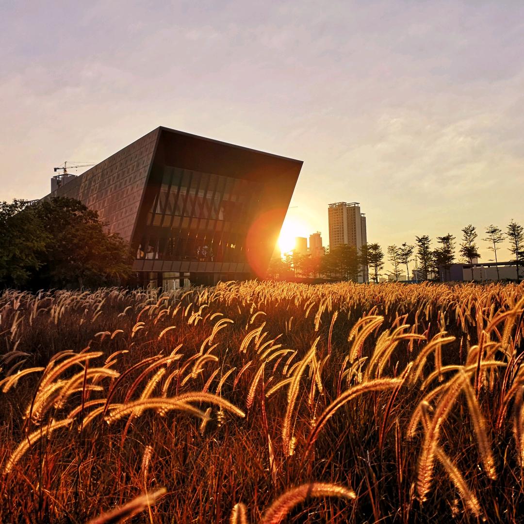 小城小事·湛江味