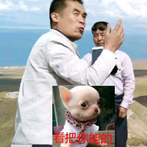 哥有老婆😎️