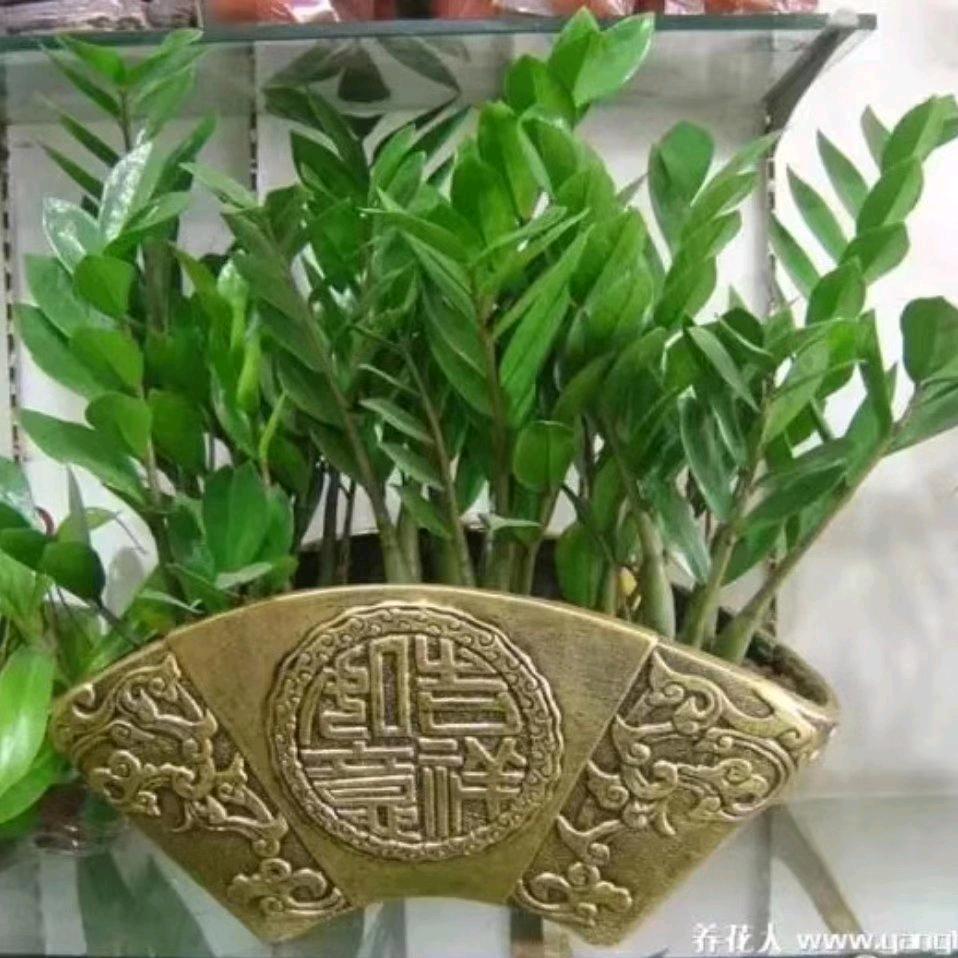 友谊永存