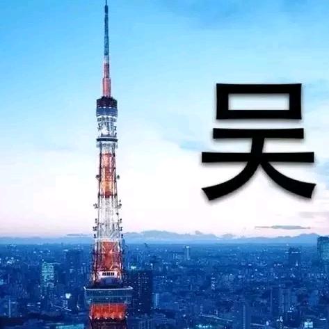 孤寂的小灰灰