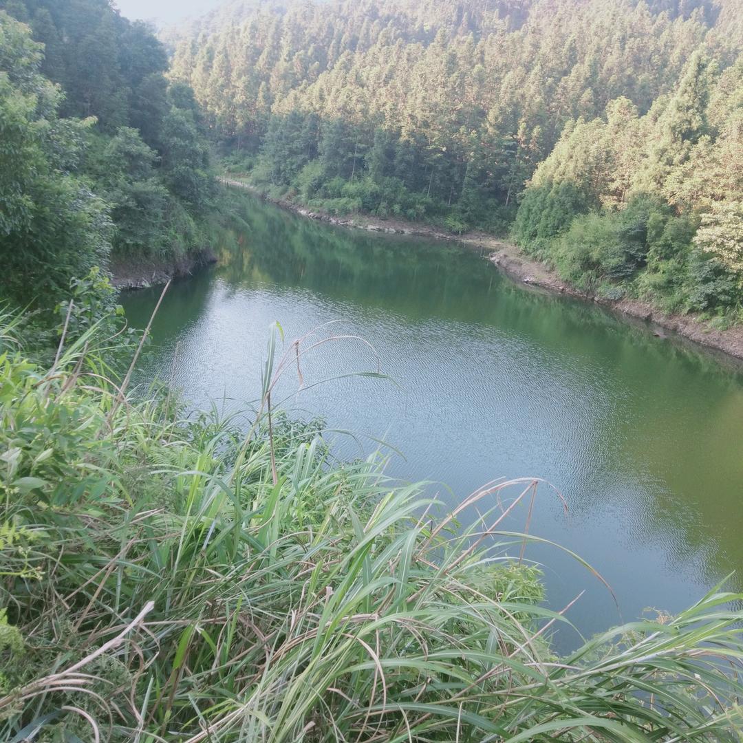 春师