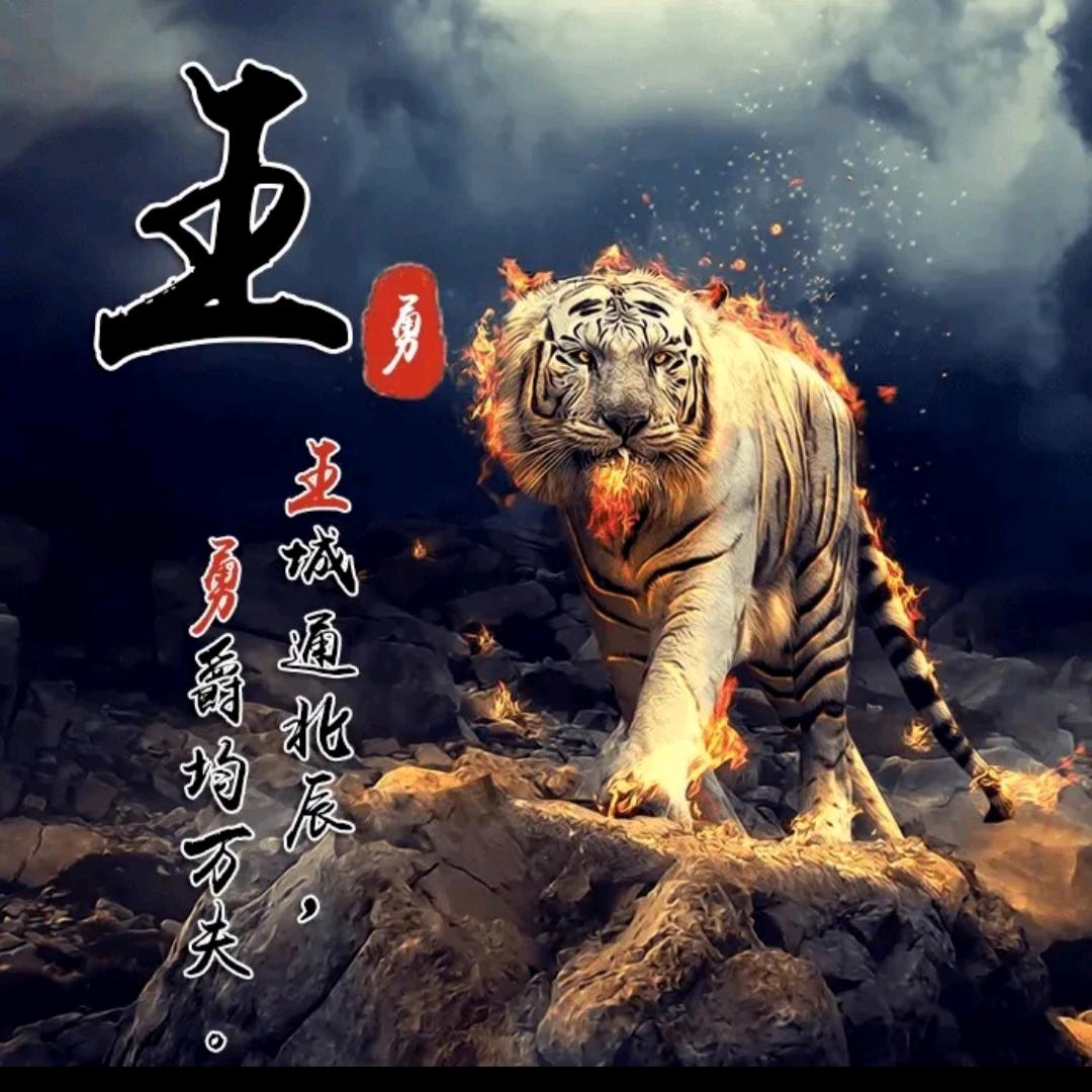 明天会更好