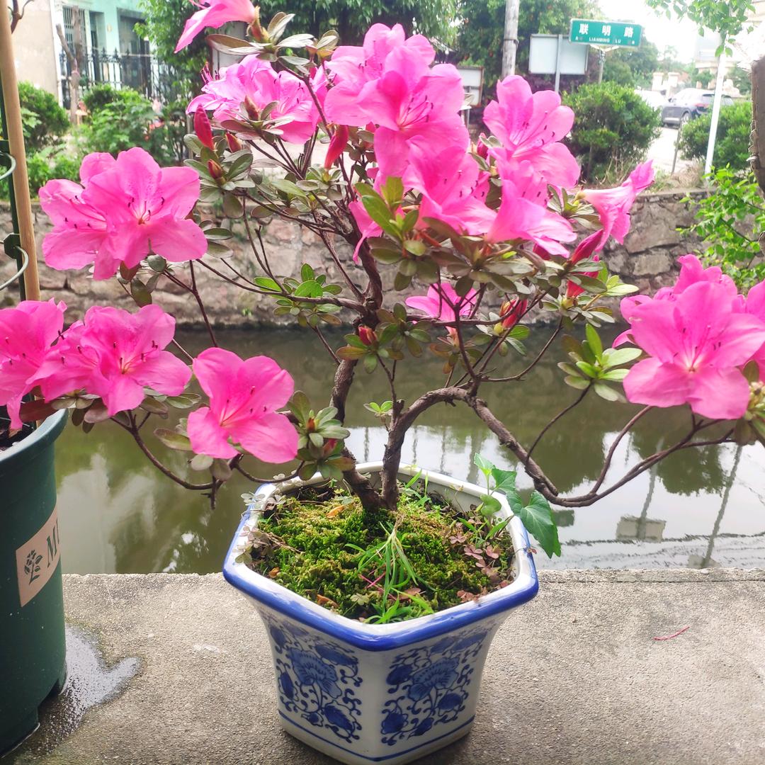 好人一生平安